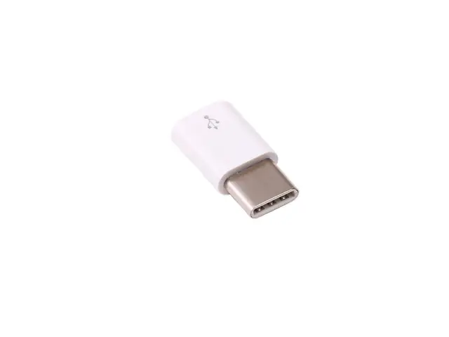 RASPBERRY PI FOUNDATION Micro B USB to USB C Adapter