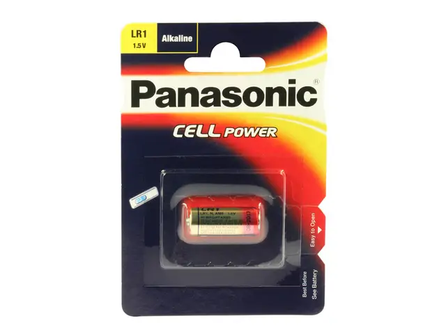 PANASONIC Panasonic Alkali 1.5V 900mAh