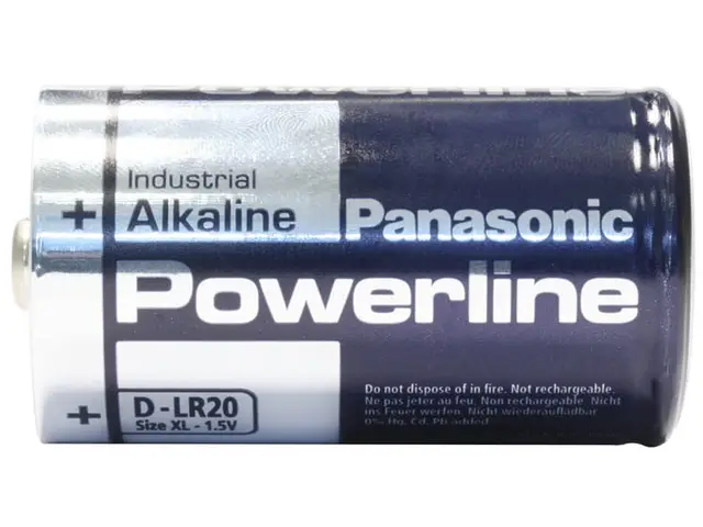 PANASONIC Panasonic PowerLine Batterie Mono D 1,5V
