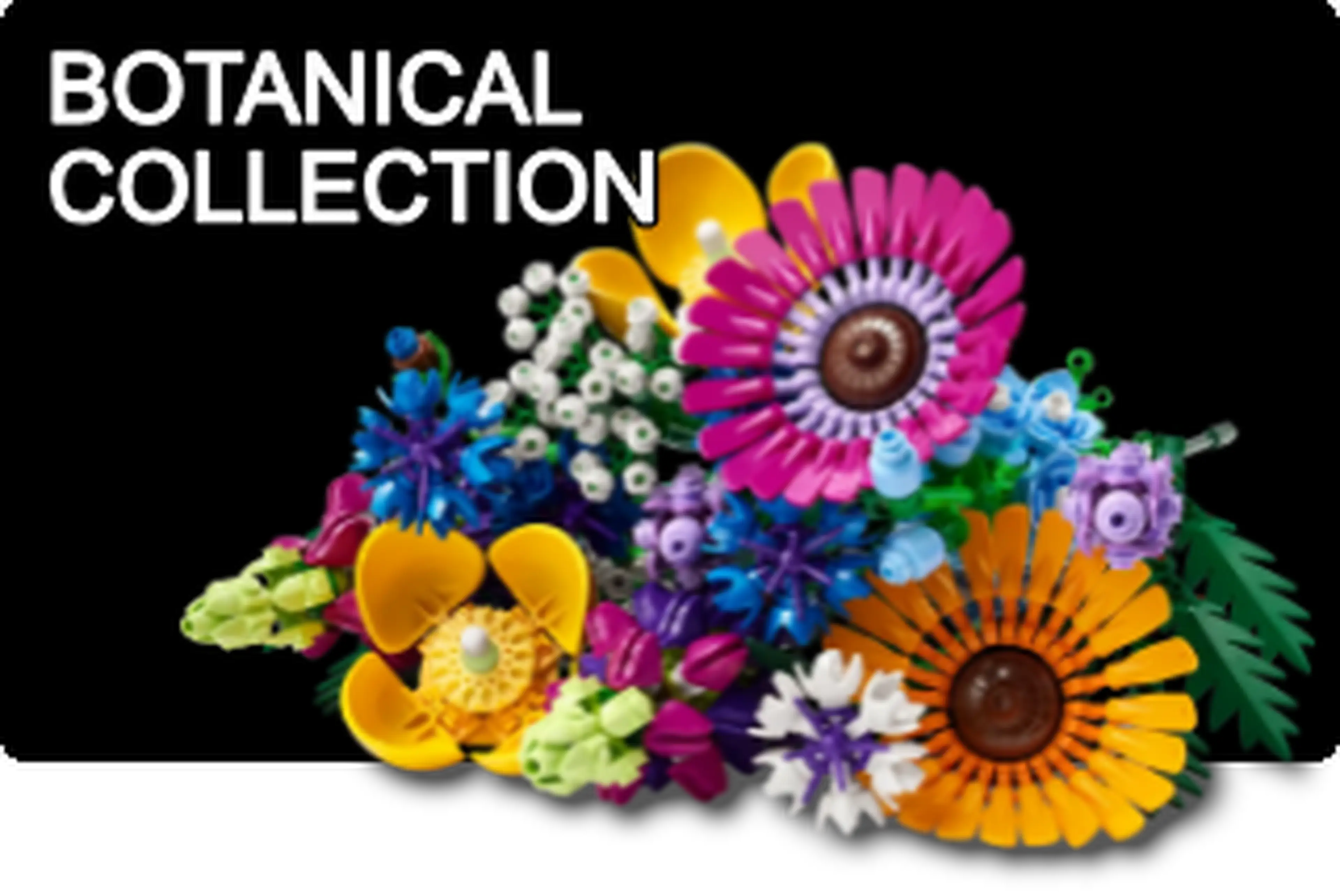 Die Botanik-Kollektion