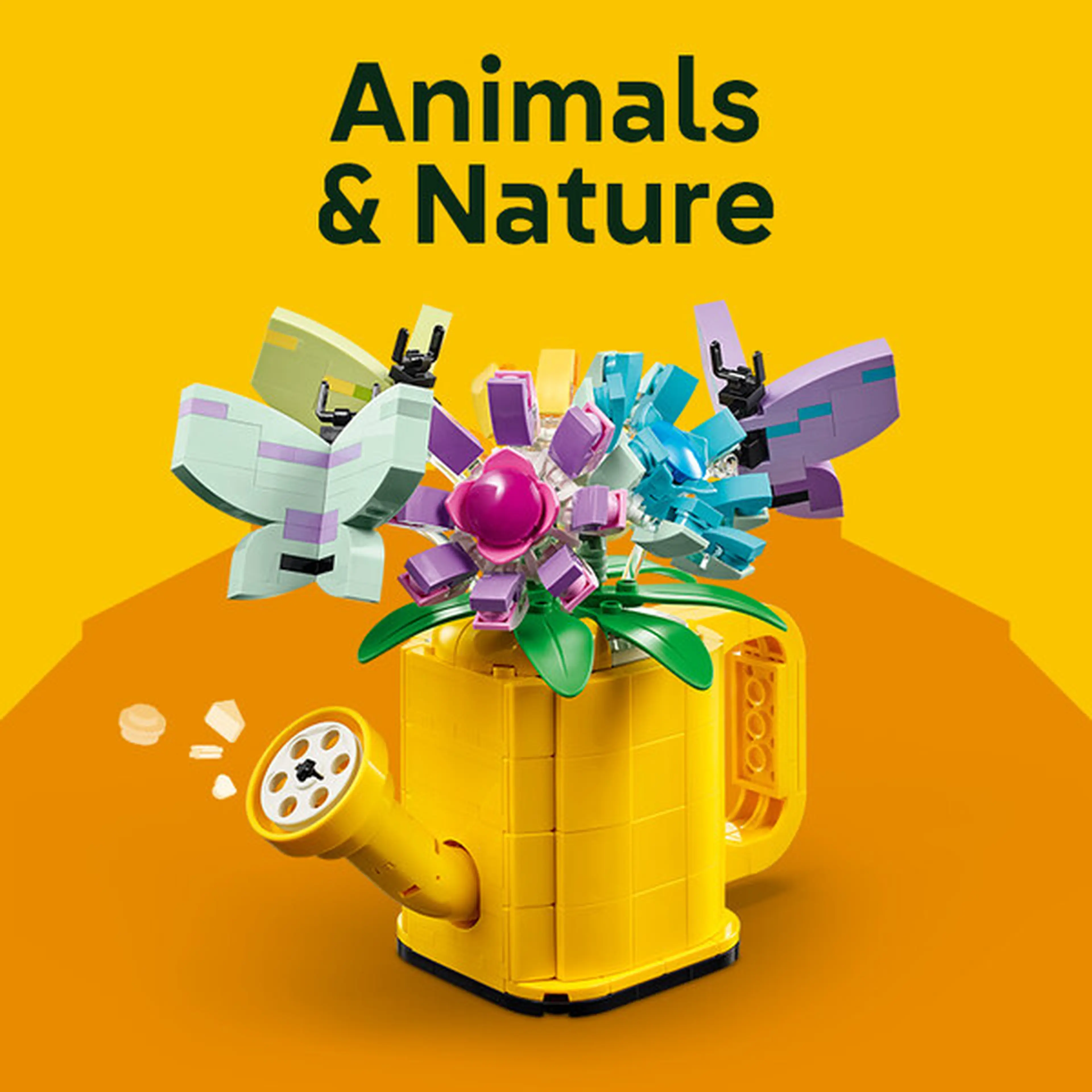 Animals & Nature