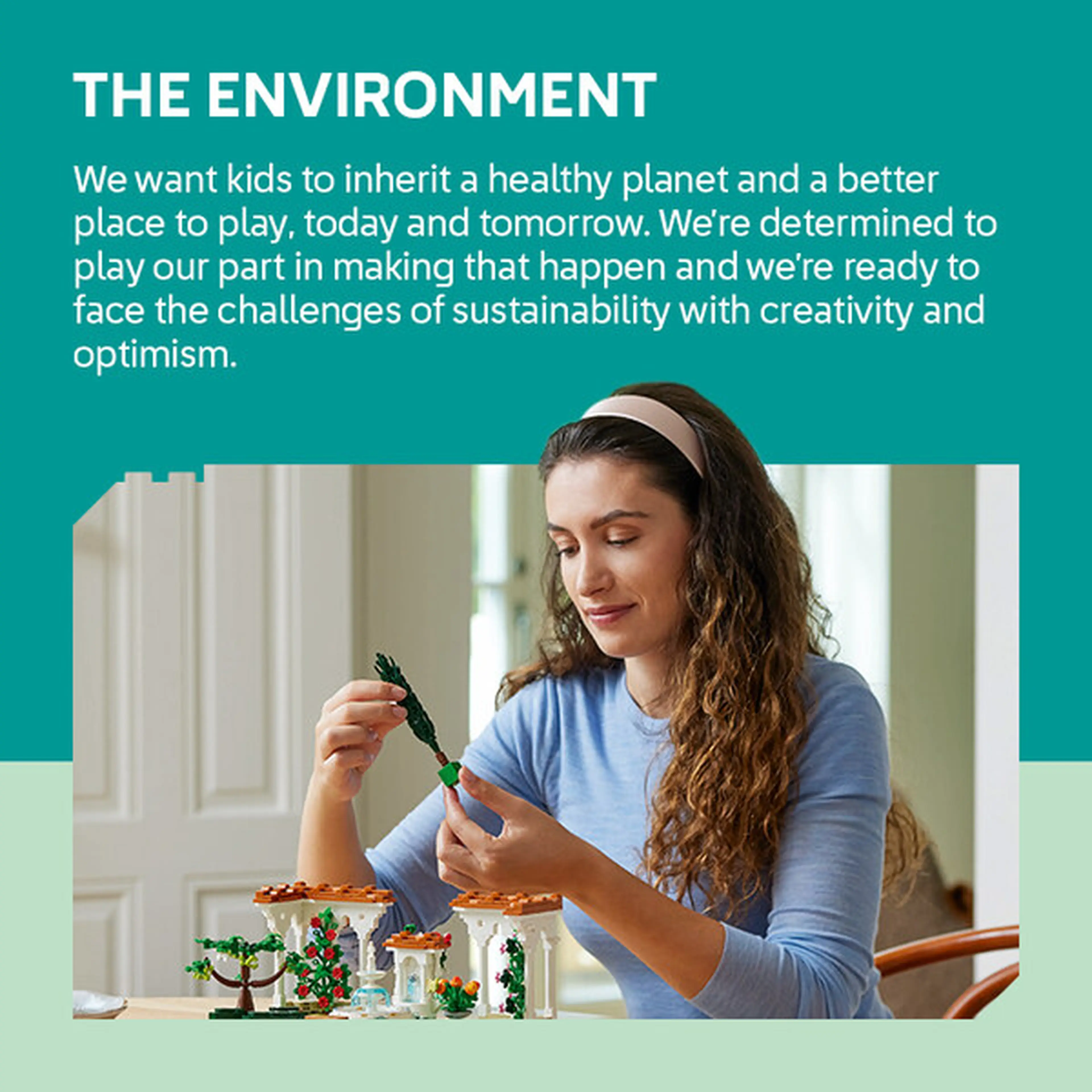 The Environment