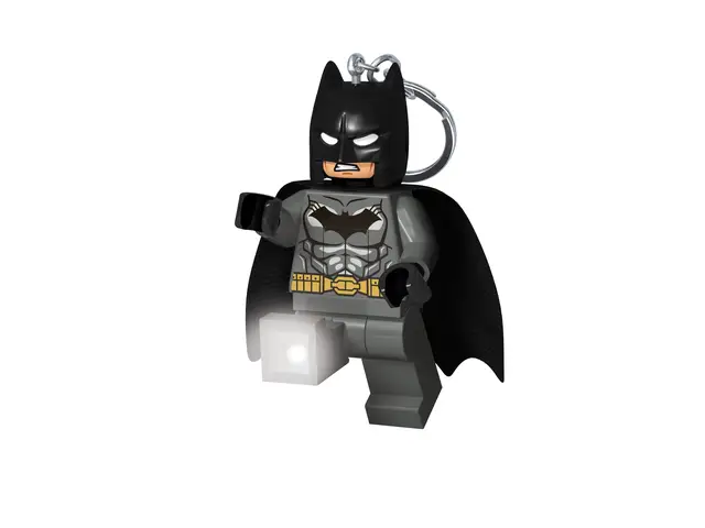 LEGO® LEGO DC Batman Clé grise