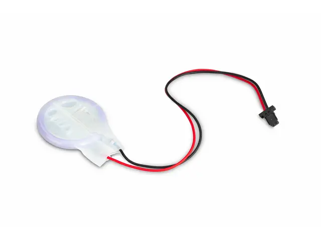 RASPBERRY PI FOUNDATION Raspberry Pi RTC Battery