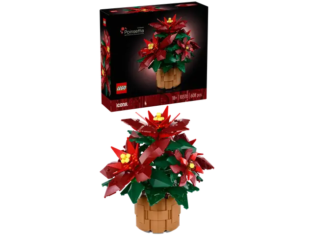 LEGO® Weihnachtsstern