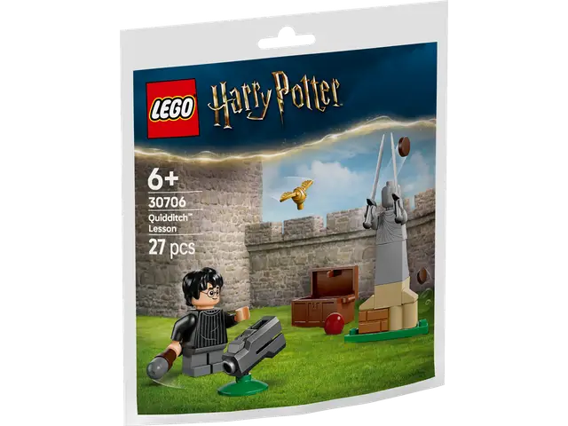 LEGO® Quidditch™ Training