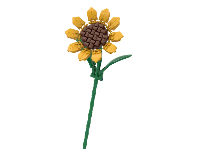 PANTASY Sunflower