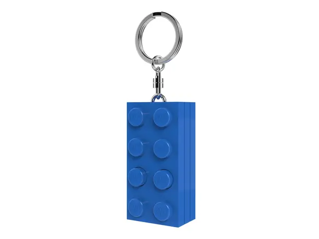LEGO® LEGO 2x4 Brick Porte-clés avec lampe de poche LED - brique bleue d'environ 7,6 cm (KE234HB) - cadeau pour enfants & fans - piles incluses - anneau métallique durable