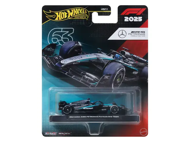 MATTEL Hot Wheels Race Team Mercedes-benz - Fahrer 1