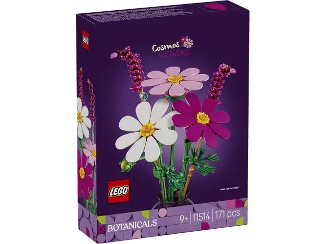 LEGO® Kosmeen